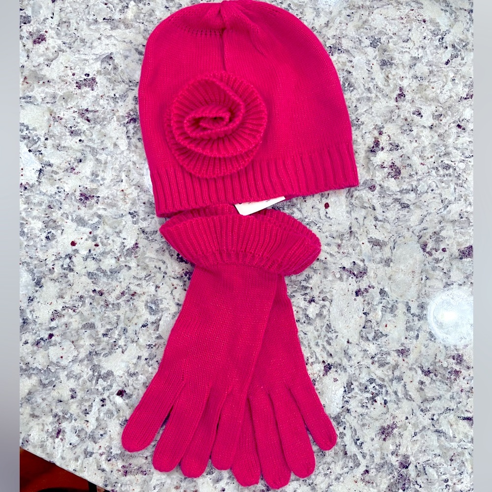 NWT hat and glove set
